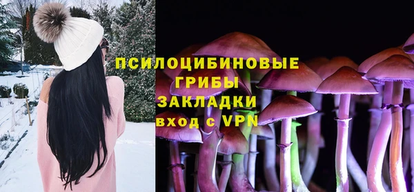 mix Богородск