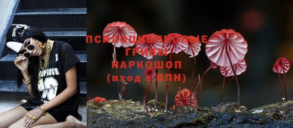 винт Верея
