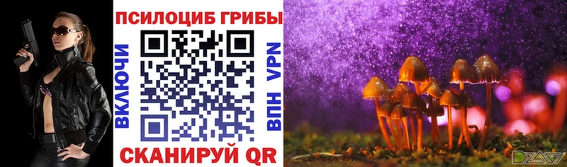 где купить наркотик  мега вход  Галлюциногенные грибы Psilocybine cubensis  Зима 
