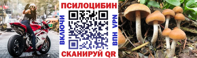 Галлюциногенные грибы MAGIC MUSHROOMS Зима